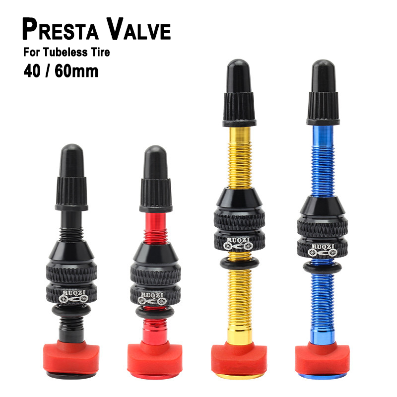 Mountain Biking In French - MTB Mountainbike Presta Ventil Tubeless Reifen