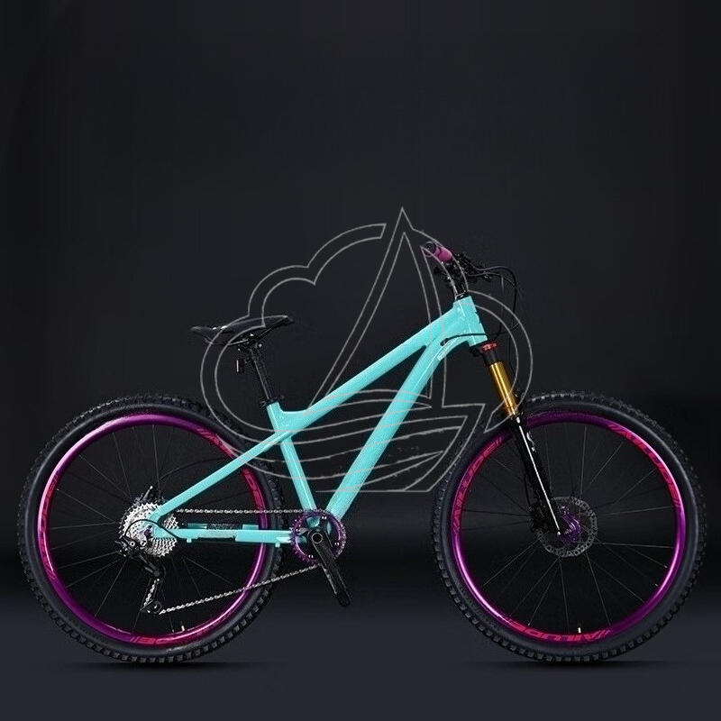 12-Gang Aluminium-Legierung Mo – Mountain Biking Jumps Bewertung und Preis