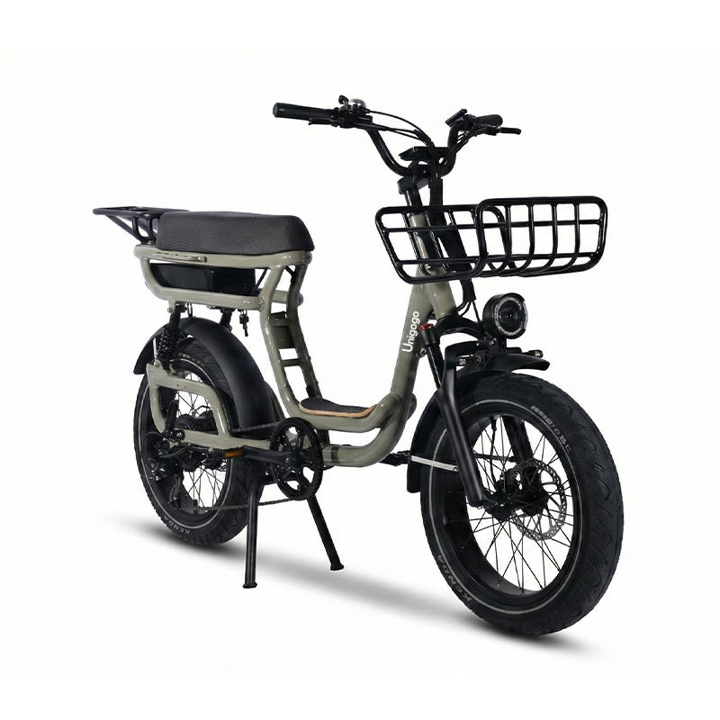 N3 20 Zoll Elektro-Mountainbik – Mountain Biking App Bewertung und Preis
