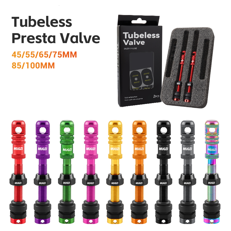 Legierung Fahrrad Tubeless Pre – Mountain Biking In French Bewertung und Preis