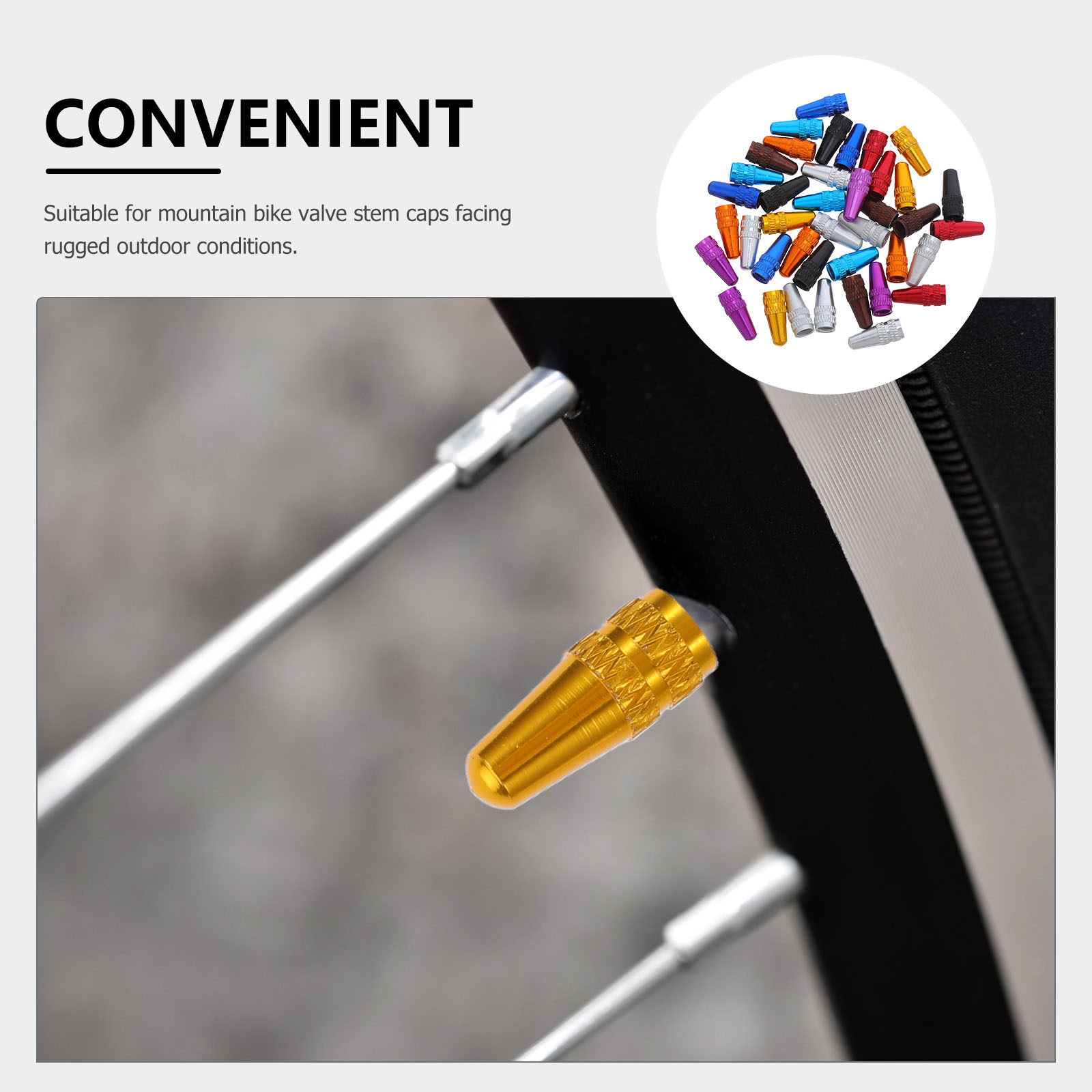 40 Stück Französische Ventilka – Mountain Biking In French Bewertung und Preis